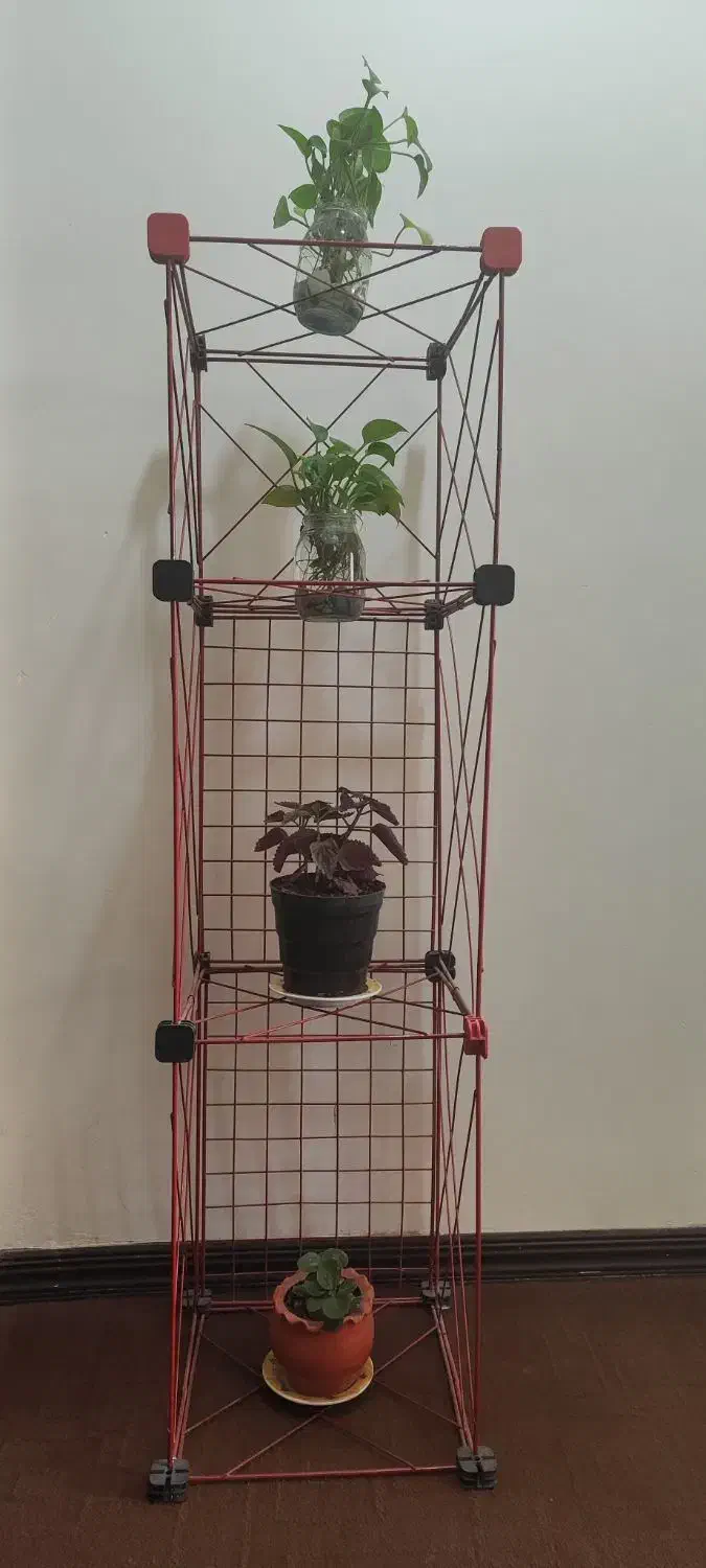 قفسه و دو عدد قفس|کتابخانه، شلف، قفسه‌های دیواری|صدرا-فارس, فاز ۱|دیوار