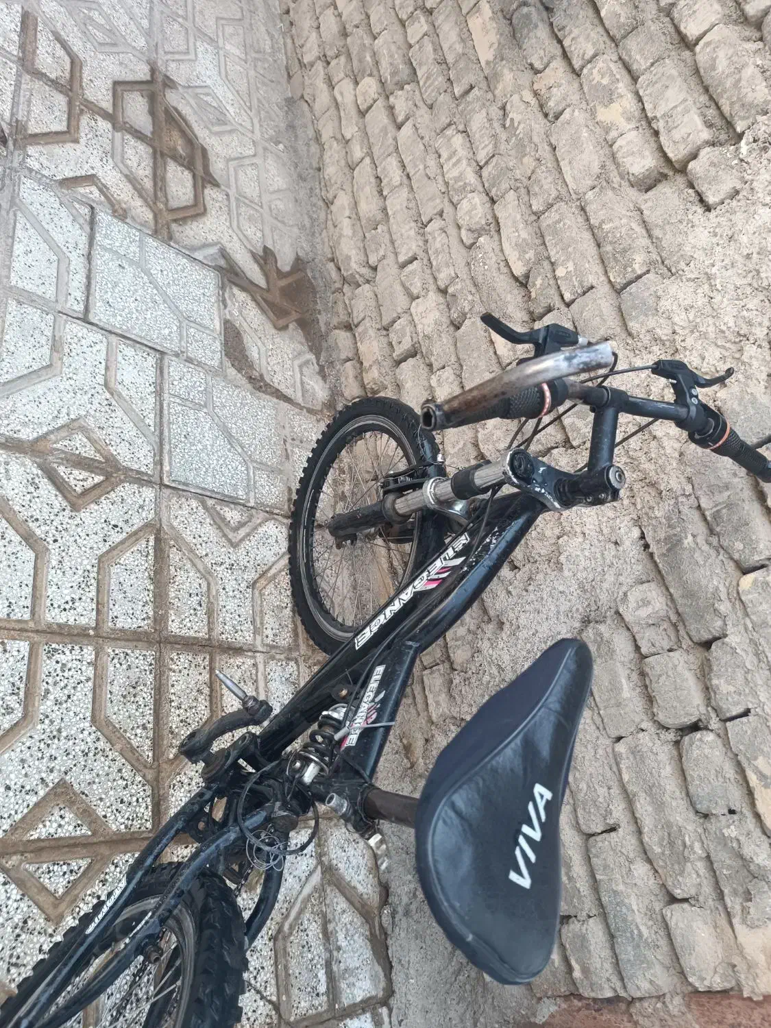 دوچرخهسواری|دوچرخه، اسکیت، اسکوتر|تربتحیدریه, پایانه مسافربری تربت حیدریه|دیوار