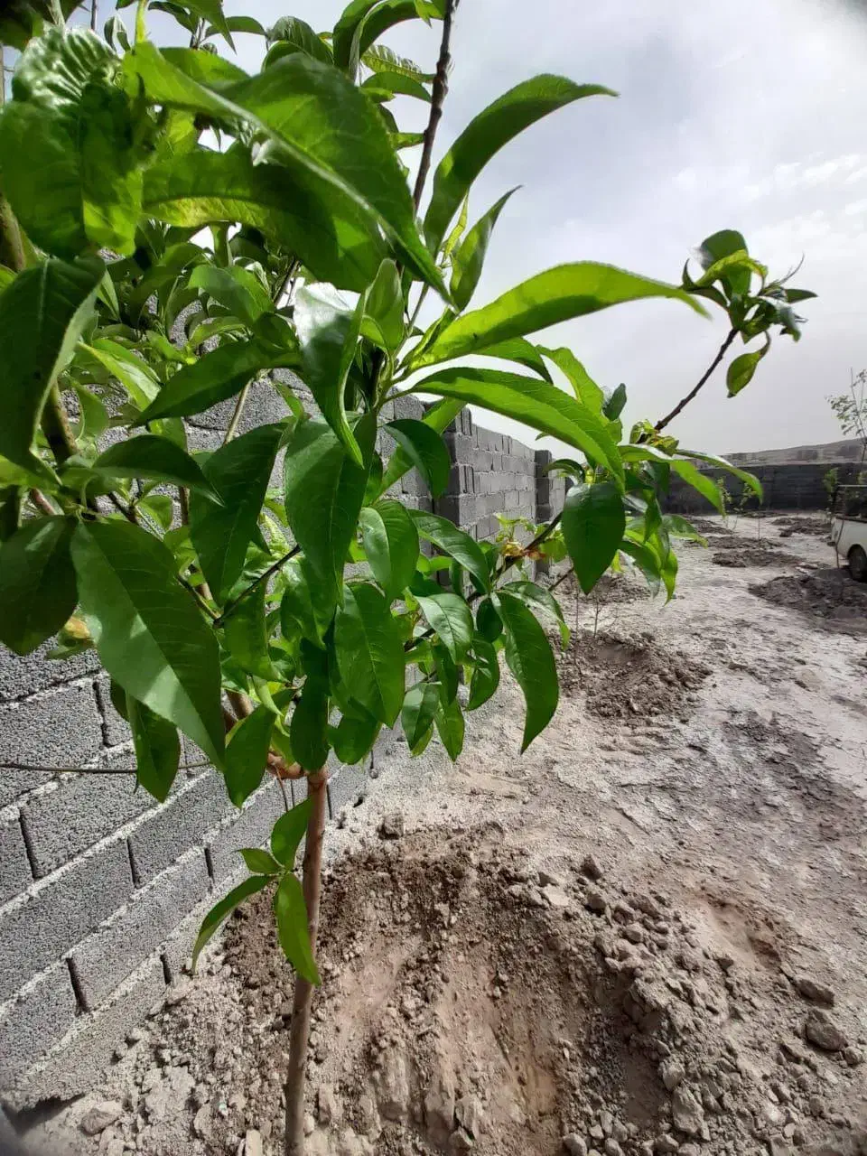 بازاریاب املاک|استخدام بازاریابی و فروش|رباطکریم, حصار مهتر|دیوار