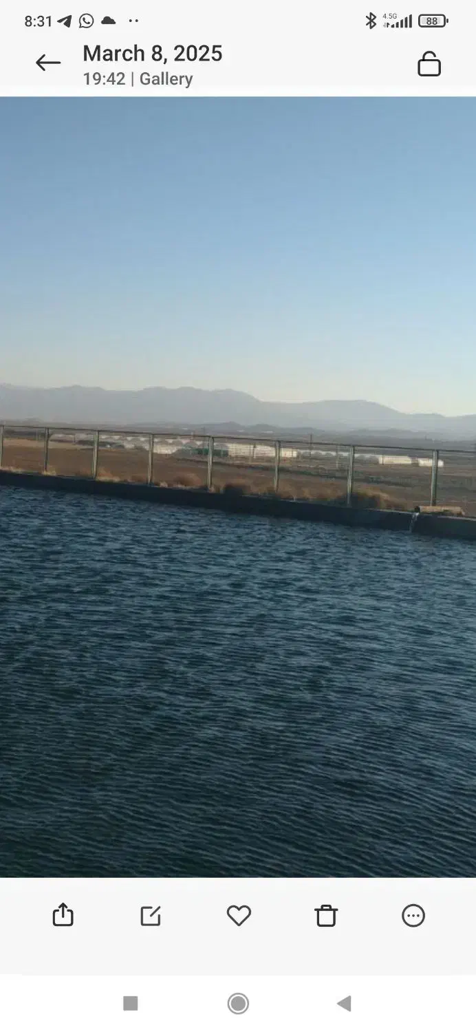 فروش ۴۰۰۰ متر زمین در شهرک گلخانه ای|فروش دفتر صنعتی، کشاورزی، تجاری|مشهد, طرق|دیوار