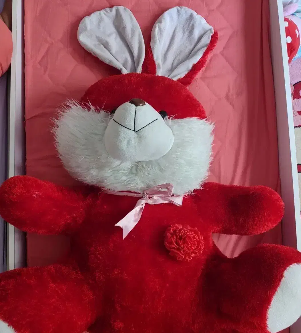 خرگوش بزرگ|موش و خرگوش|همدان, |دیوار