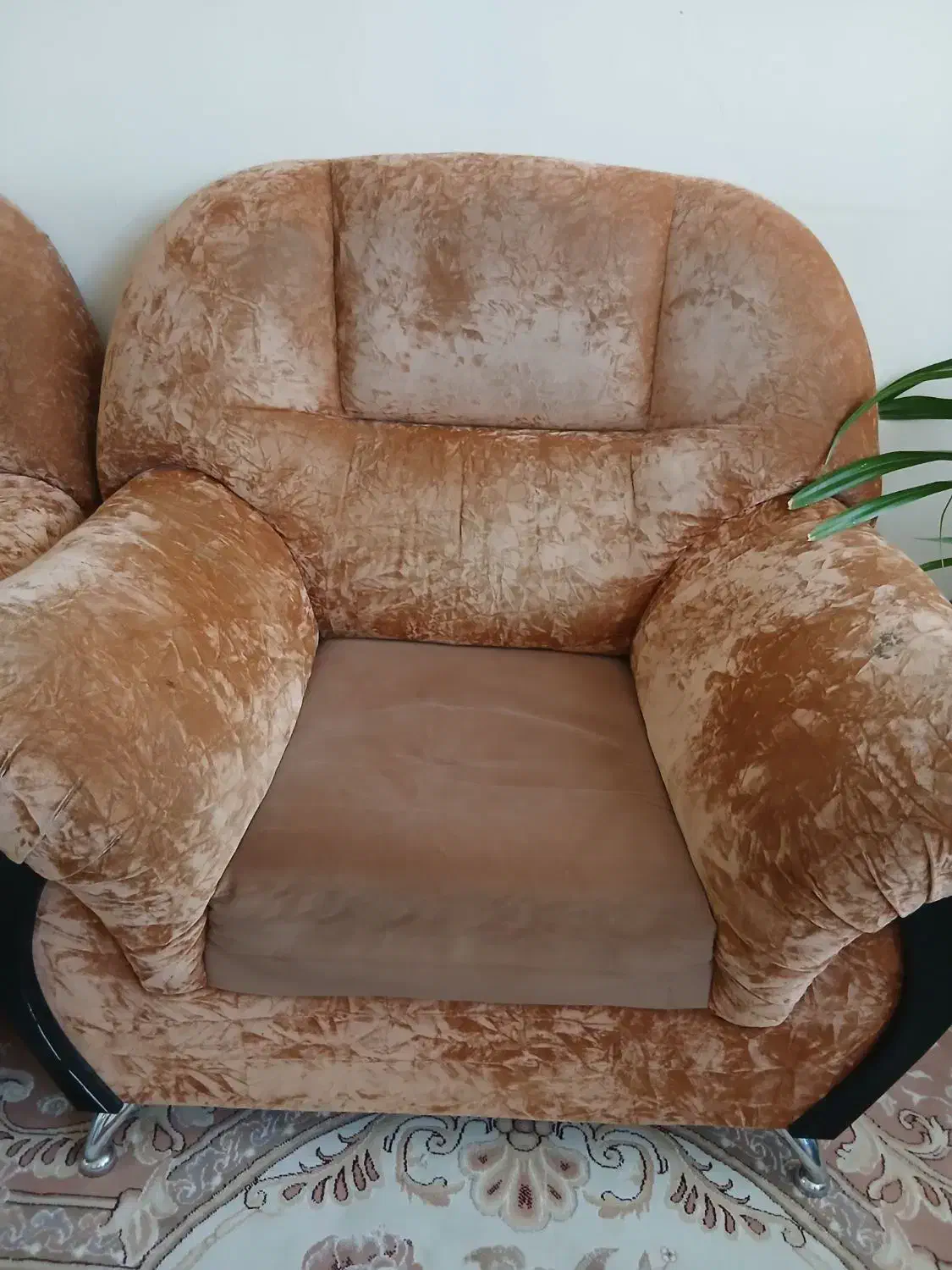 مبلمان|مبلمان خانگی و میز عسلی|گلبهار, شهر جدید گلبهار|دیوار