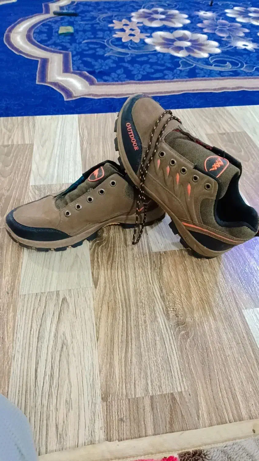 کفش شیک وارداتی|کیف، کفش، کمربند|بم, |دیوار