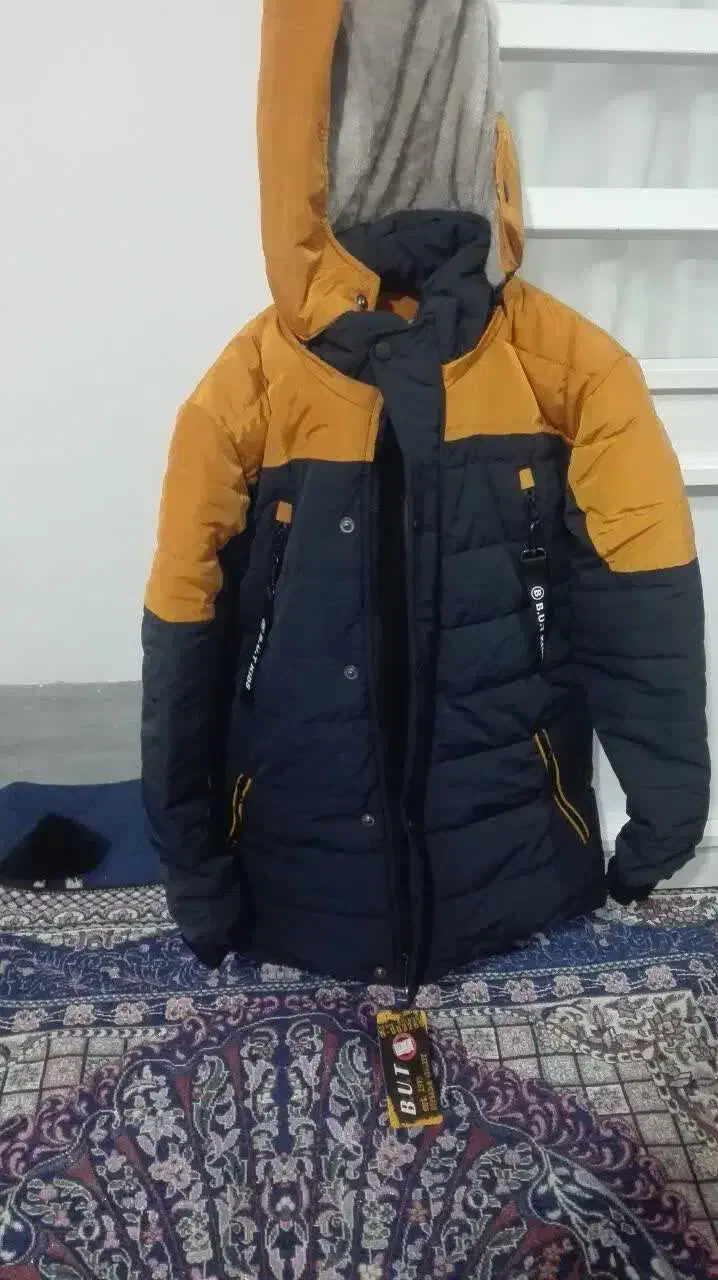 کت نو|لباس|کوهدشت, |دیوار