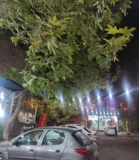 نیازمند  تعدادی نیرو آقا جهت کار در رستوران آبعلی|استخدام خدمات فروشگاه و رستوران|آبعلی, |دیوار