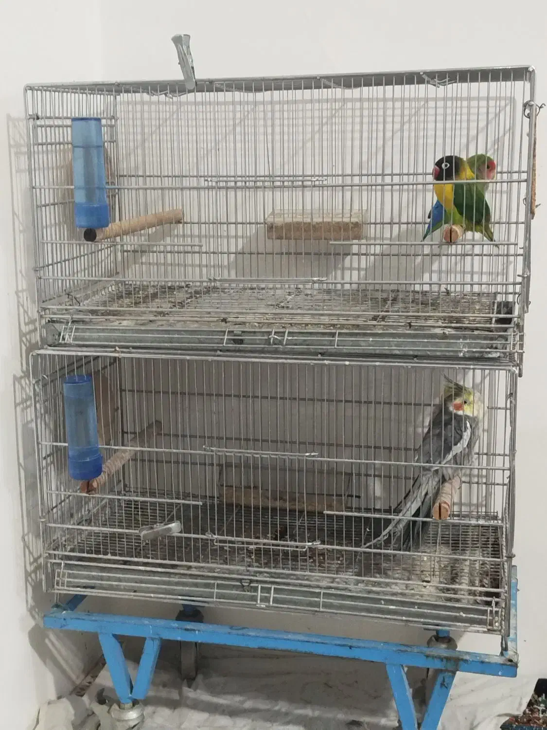 قفس پرنده دوطبقه*|لوازم جانبی حیوانات|مشهد, تلگرد|دیوار