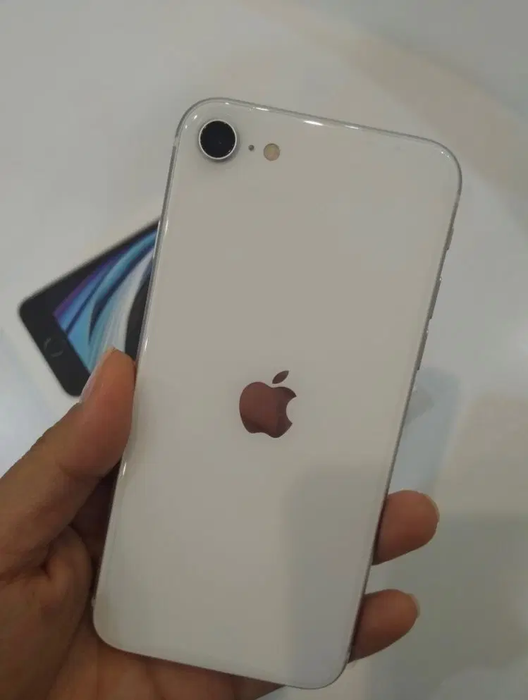 iPhone se 2020|موبایل|کازرون, |دیوار