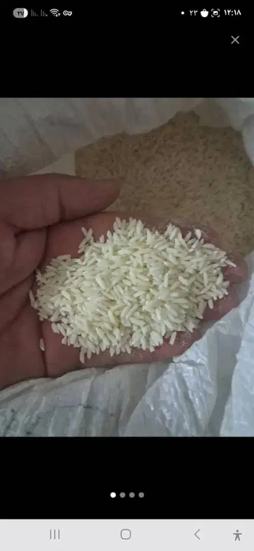 فروش چندکیلوبرنج عنبربوبه شرط پخت وبوی عاالی|خوردنی و آشامیدنی|دلیجان, |دیوار