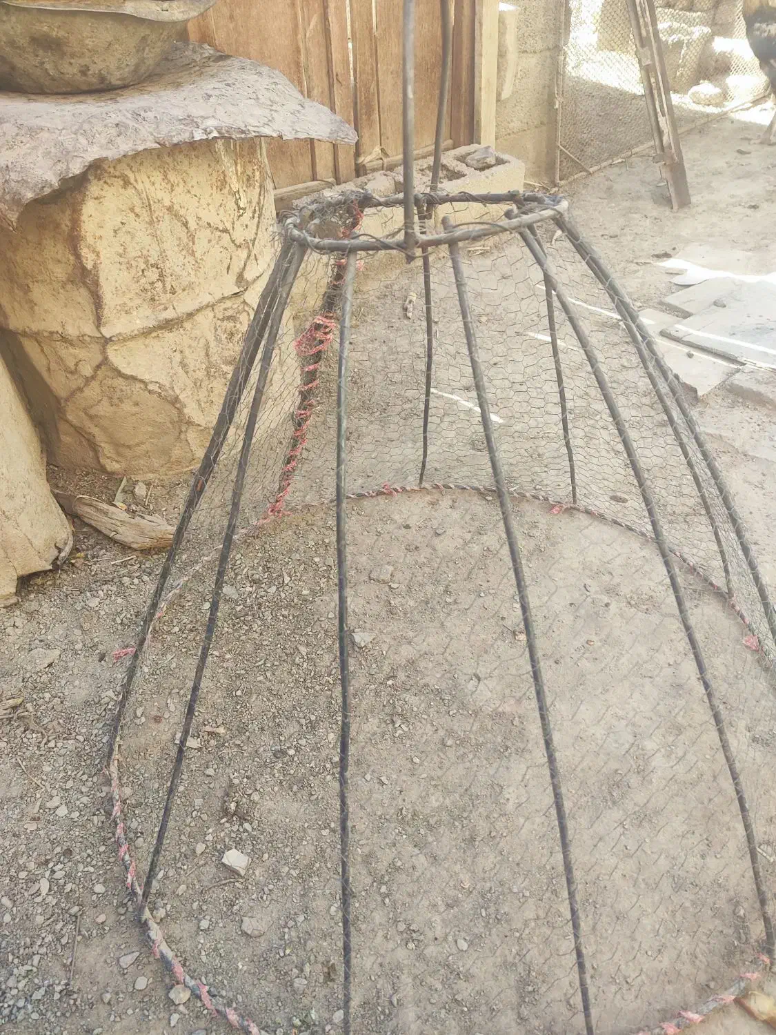 قفس فروشی|لوازم جانبی حیوانات|سراوان, |دیوار