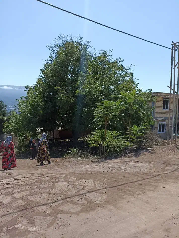 فروش زمین مسکونی با متراژ ۲۱۶متر|فروش زمین و ملک کلنگی|بره‌سر, |دیوار