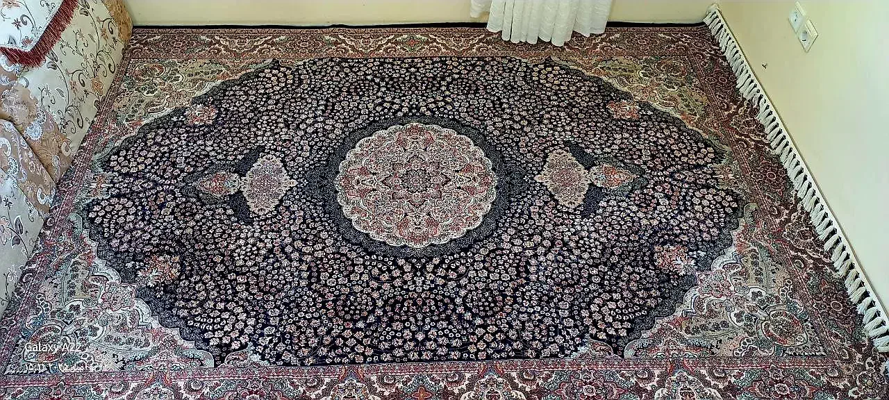 ۲ تخته فرش ۶ متری دستبافت گونه واقعی|فرش|کرمانشاه, |دیوار