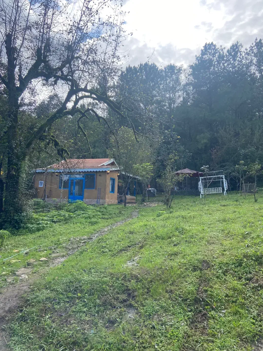 اجاره کلبه ویلا جنگلی ماسال|اجارهٔ کوتاه‌مدت ویلا و باغ|ماسال, |دیوار