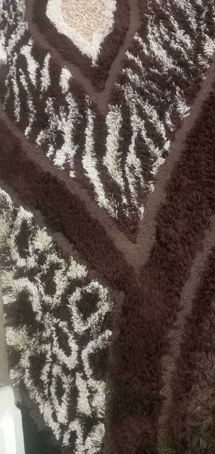 فروش گلیم فرش ۱۲ متری|گلیم، جاجیم، گبه|بوشهر, |دیوار