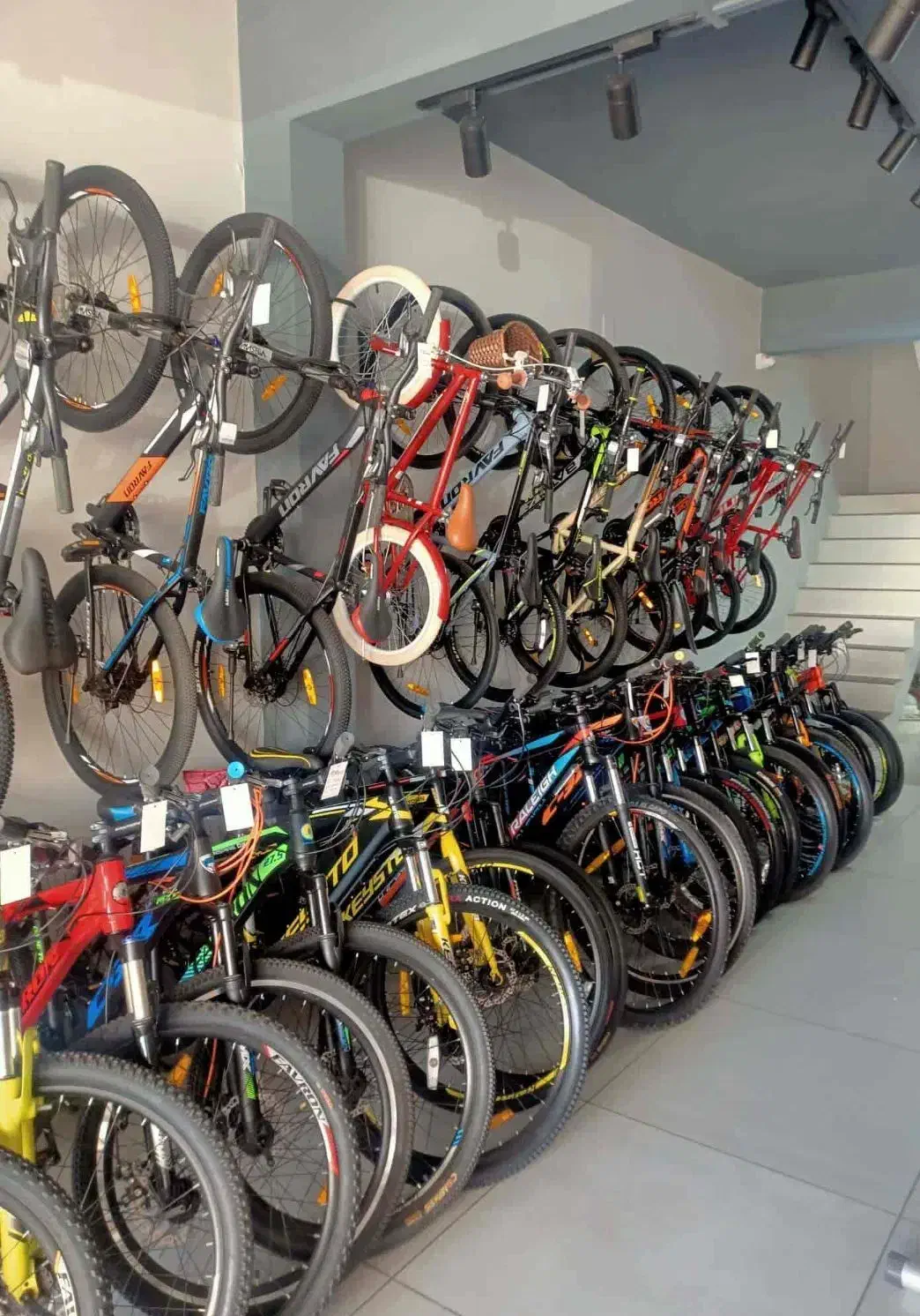 دچرخ مارلین/رنگبندی۲۶|دوچرخه، اسکیت، اسکوتر|مشهد, شهید قربانی|دیوار