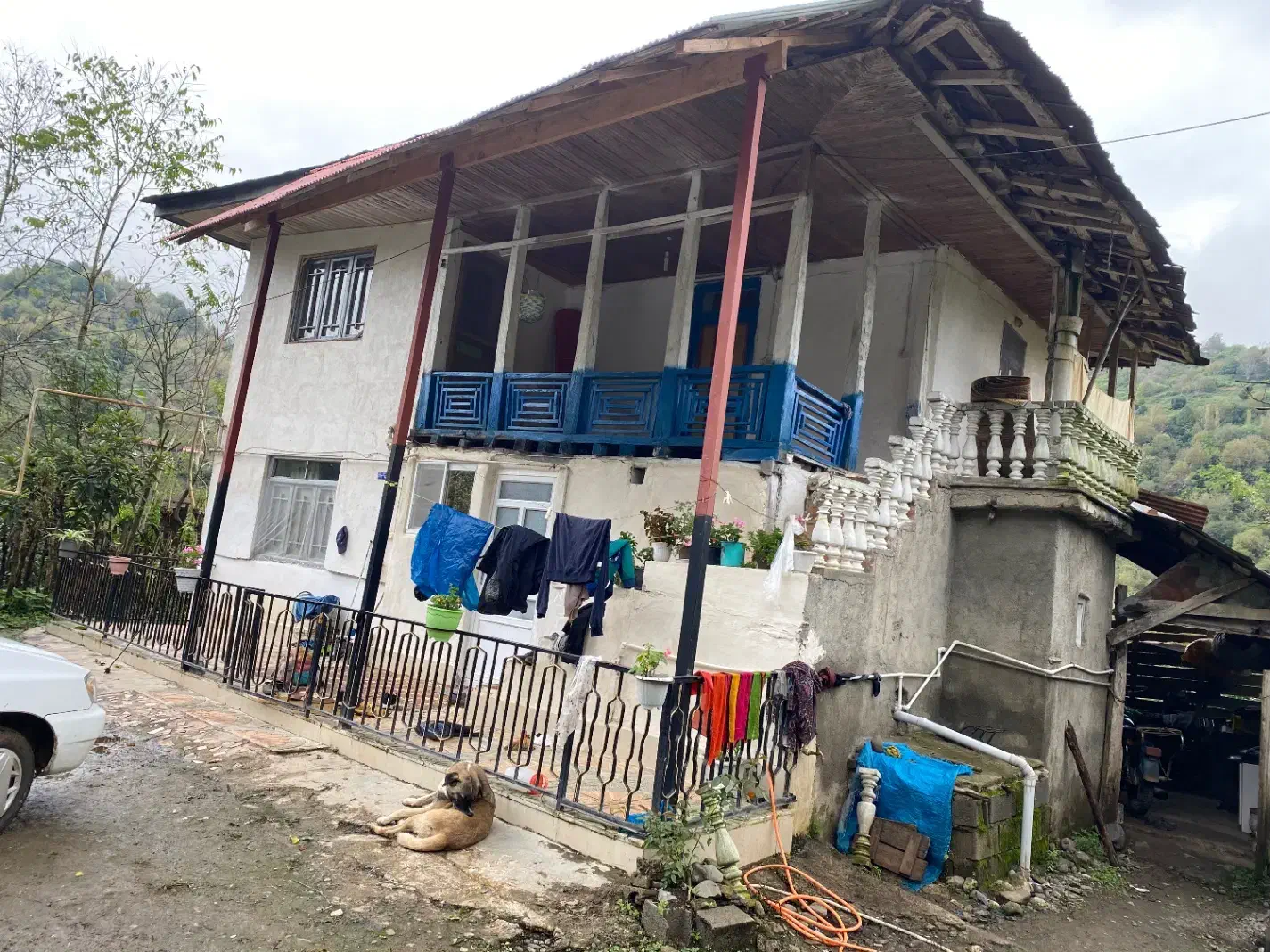 خانه کاه گلی روستای ویو دار گیلان همراه باغ چای|فروش زمین و ملک کلنگی|اطاقور, |دیوار