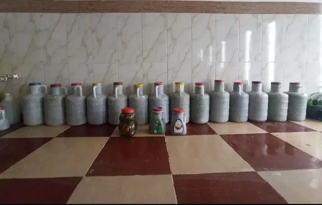 خیارشور خانگی محلی|خوردنی و آشامیدنی|نقده, |دیوار