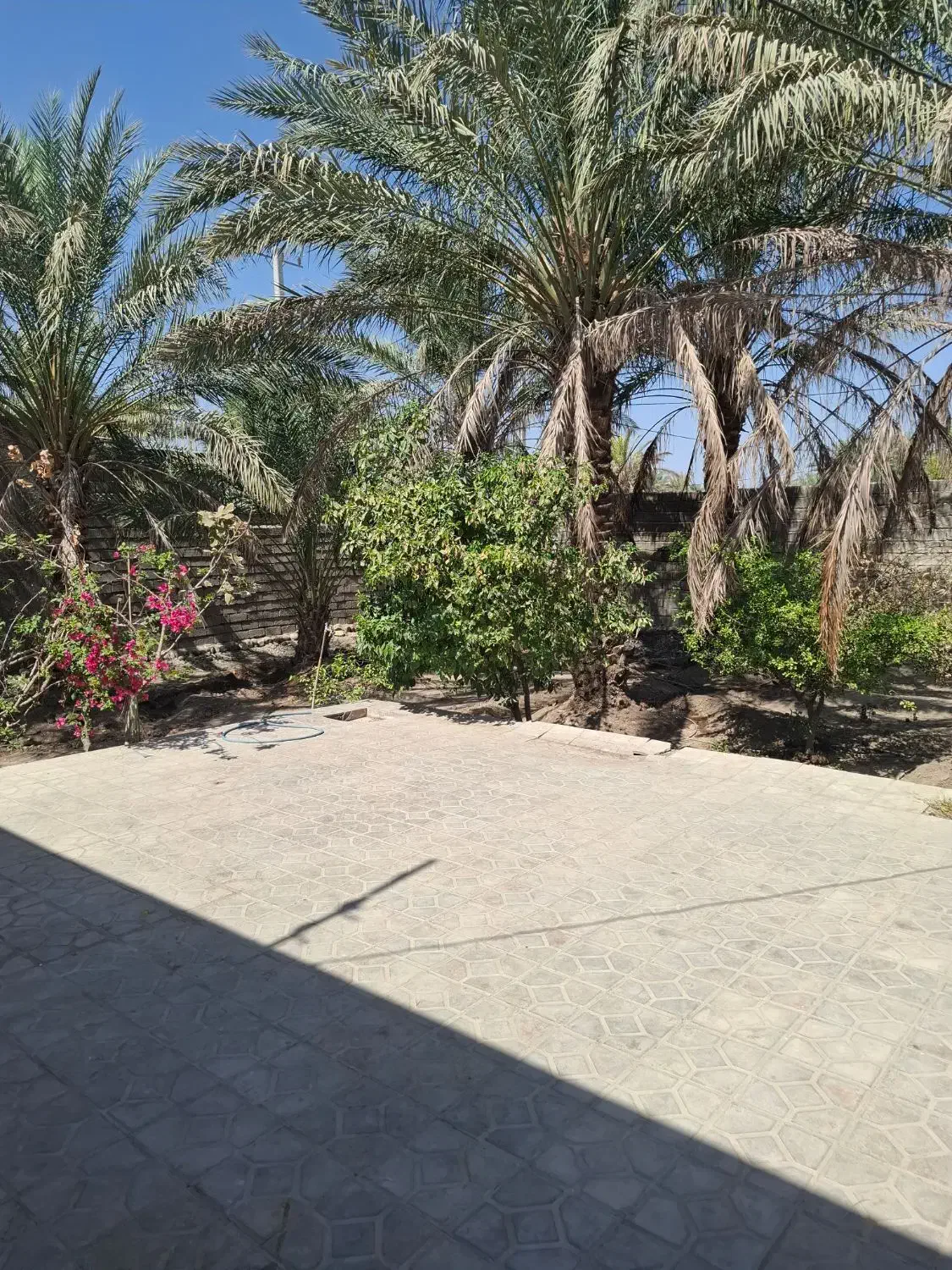 خونه اجازه کلرود|اجارهٔ خانه و ویلا|جیرفت, |دیوار