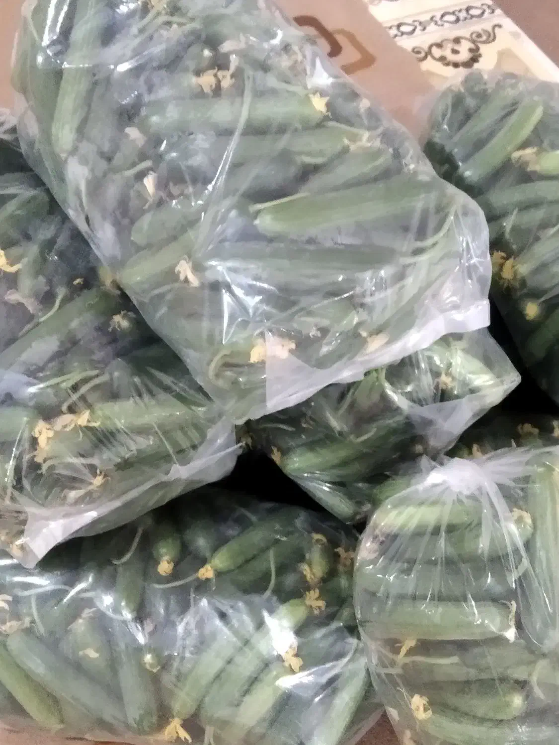 خیار گلخانه|خوردنی و آشامیدنی|زابل, |دیوار