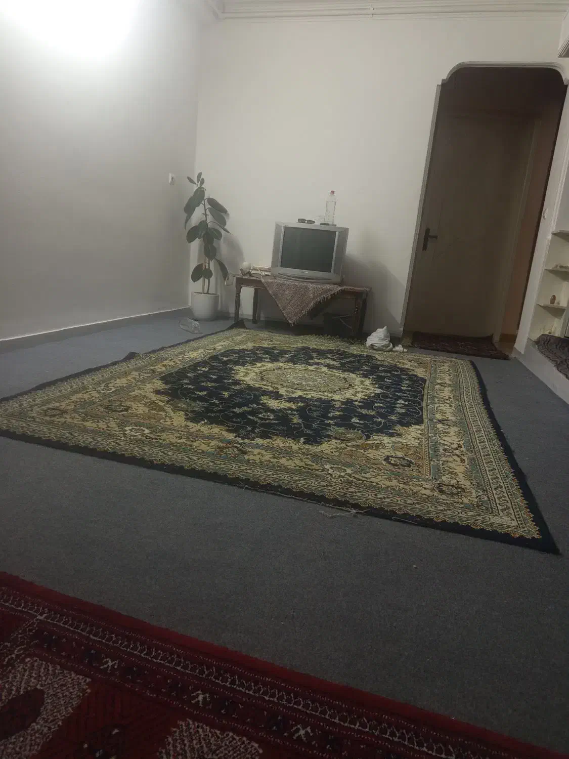 فرش 6متری|فرش|گرگان, |دیوار