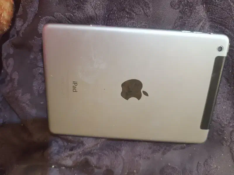 iPad mini2|تبلت|قدس, شهر‌قدس|دیوار