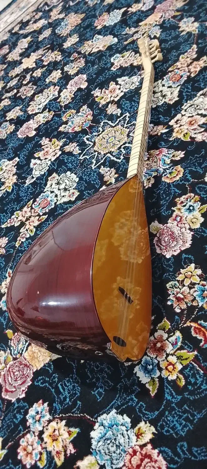 باغلاما مارک دیار|سازهای سنتی|بوکان, |دیوار