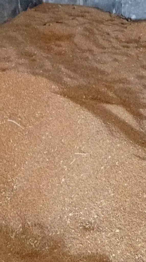 گندم و لوبیا|خوردنی و آشامیدنی|اهواز, اسماعیلیه|دیوار