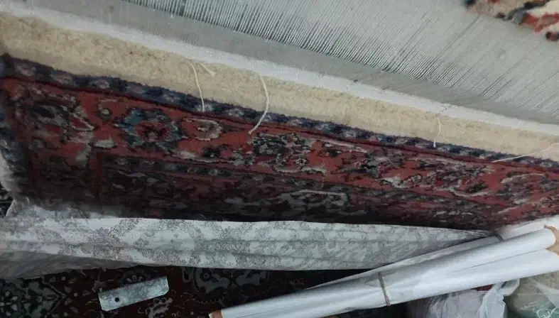 دار قالی زر نیم همراه با فرش نصفه|فرش|اراک, |دیوار