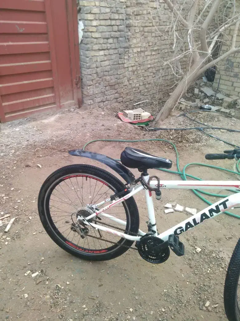 دوچرخه 26 گالانت|دوچرخه، اسکیت، اسکوتر|یزد, |دیوار