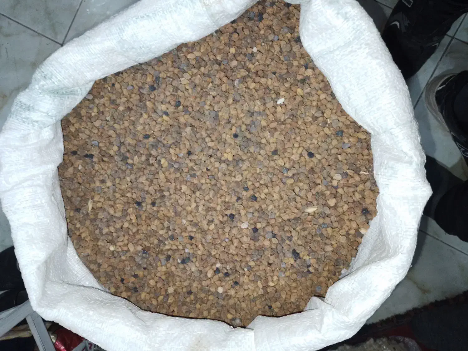 نخود لپه|خوردنی و آشامیدنی|مشکین‌دشت, |دیوار