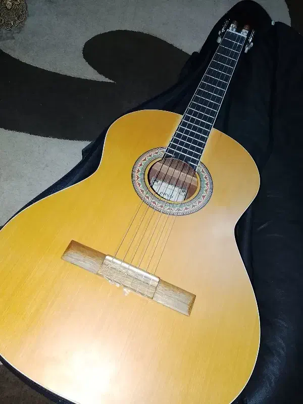 گیتار|گیتار، بیس، امپلیفایر|داراب, |دیوار