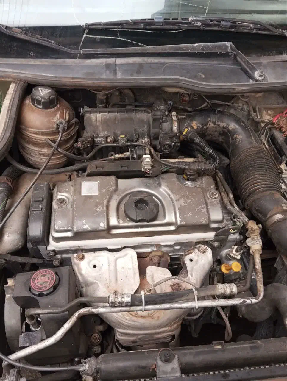 ۲۰۶ مدل ۸۳|خودرو سواری و وانت|قم, زند آباد|دیوار