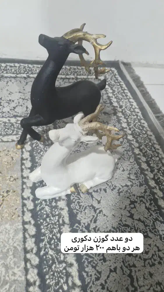 دکوری های خانه|مجسمه، تندیس، ماکت|لنگرود, |دیوار