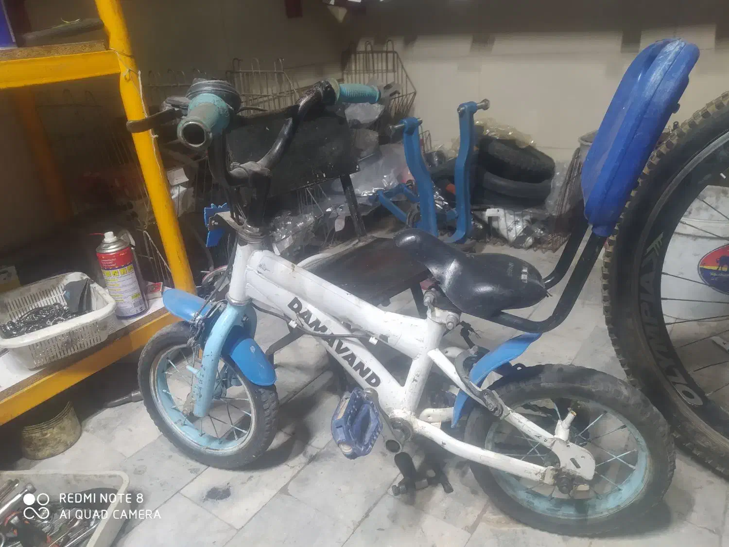 دوچرخه فروشی|دوچرخه، اسکیت، اسکوتر|بیرجند, |دیوار