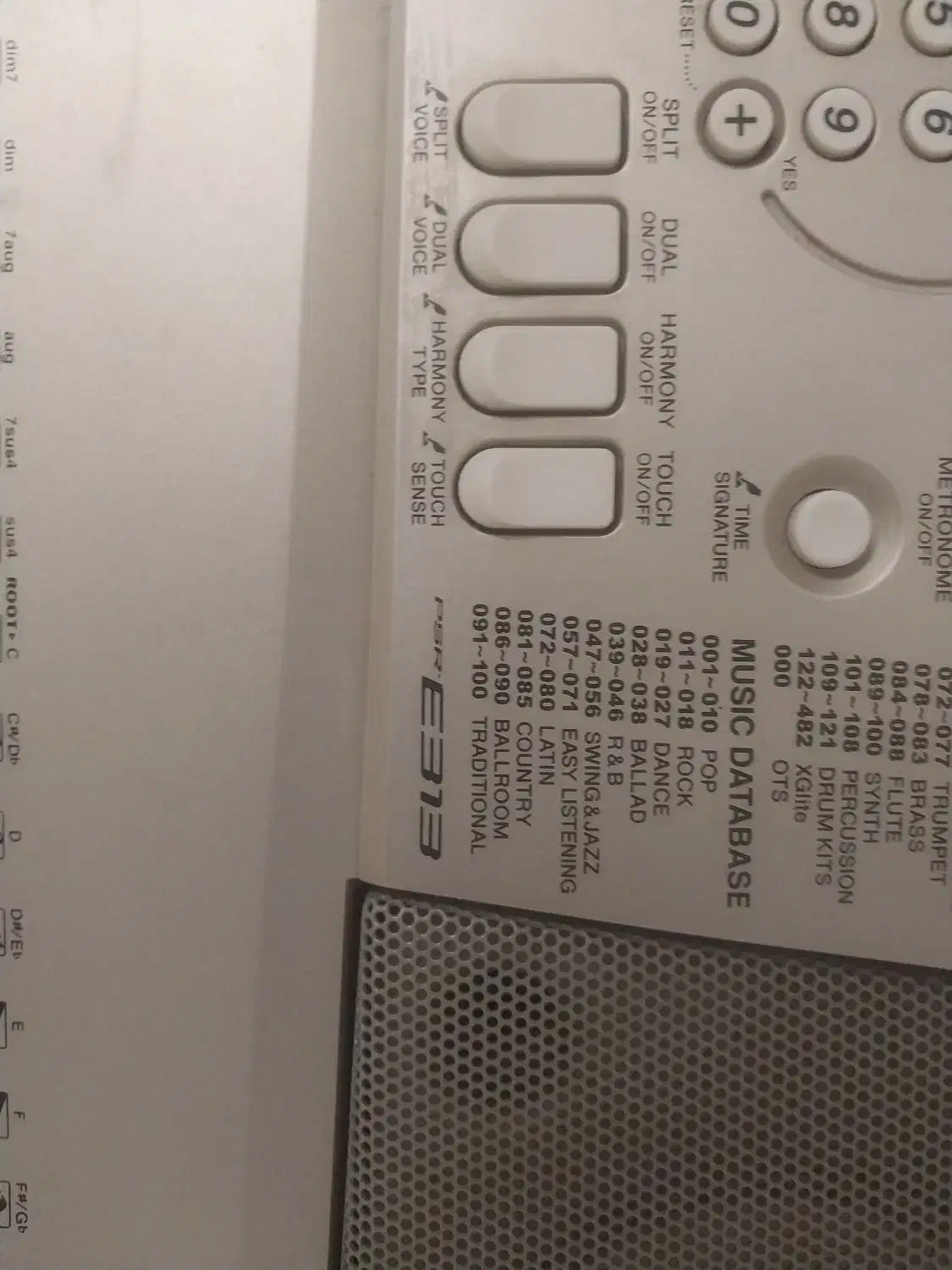 ارگ درحد نو|پیانو، کیبورد، آکاردئون|کیش, |دیوار