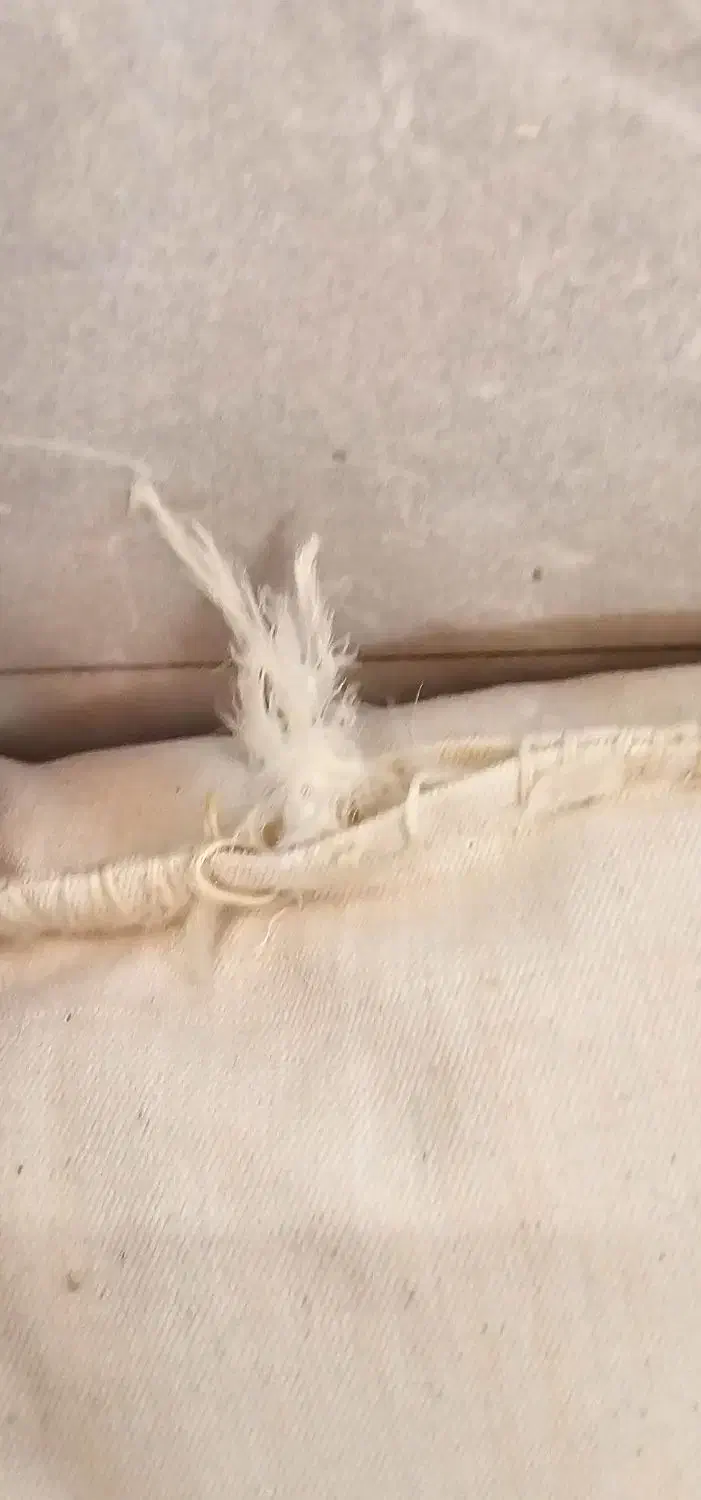 بالش پر|رختخواب، بالش، پتو|شوش, |دیوار