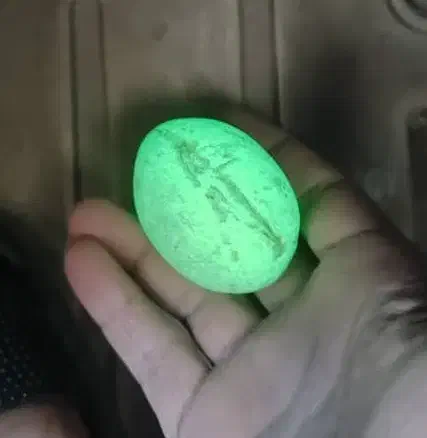 گوهرشب چراغ|کلکسیون اشیاء عتیقه|اژیه, |دیوار