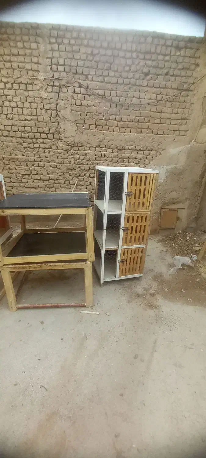 کرسی و جفت کن|لوازم جانبی حیوانات|ساوه, |دیوار