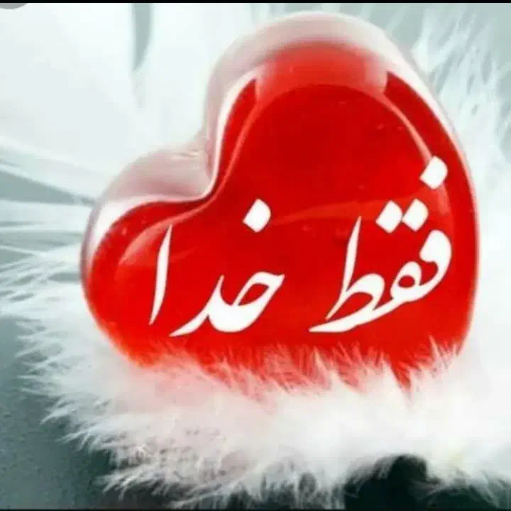 سیمکارت رند|سیم‌کارت|شیراز, گلشن|دیوار
