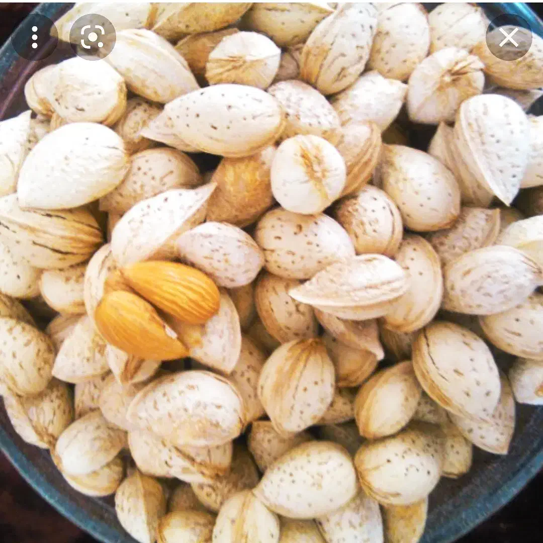 خرید بادام|خوردنی و آشامیدنی|زاینده رود, |دیوار