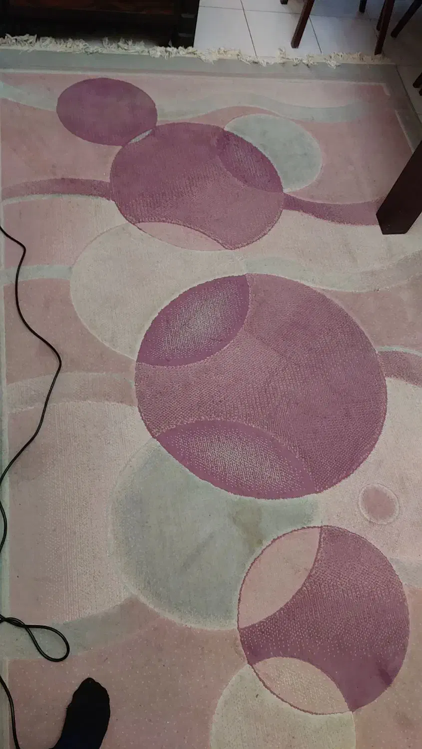 فرش ۶ متری|فرش|تهران, صد دستگاه|دیوار