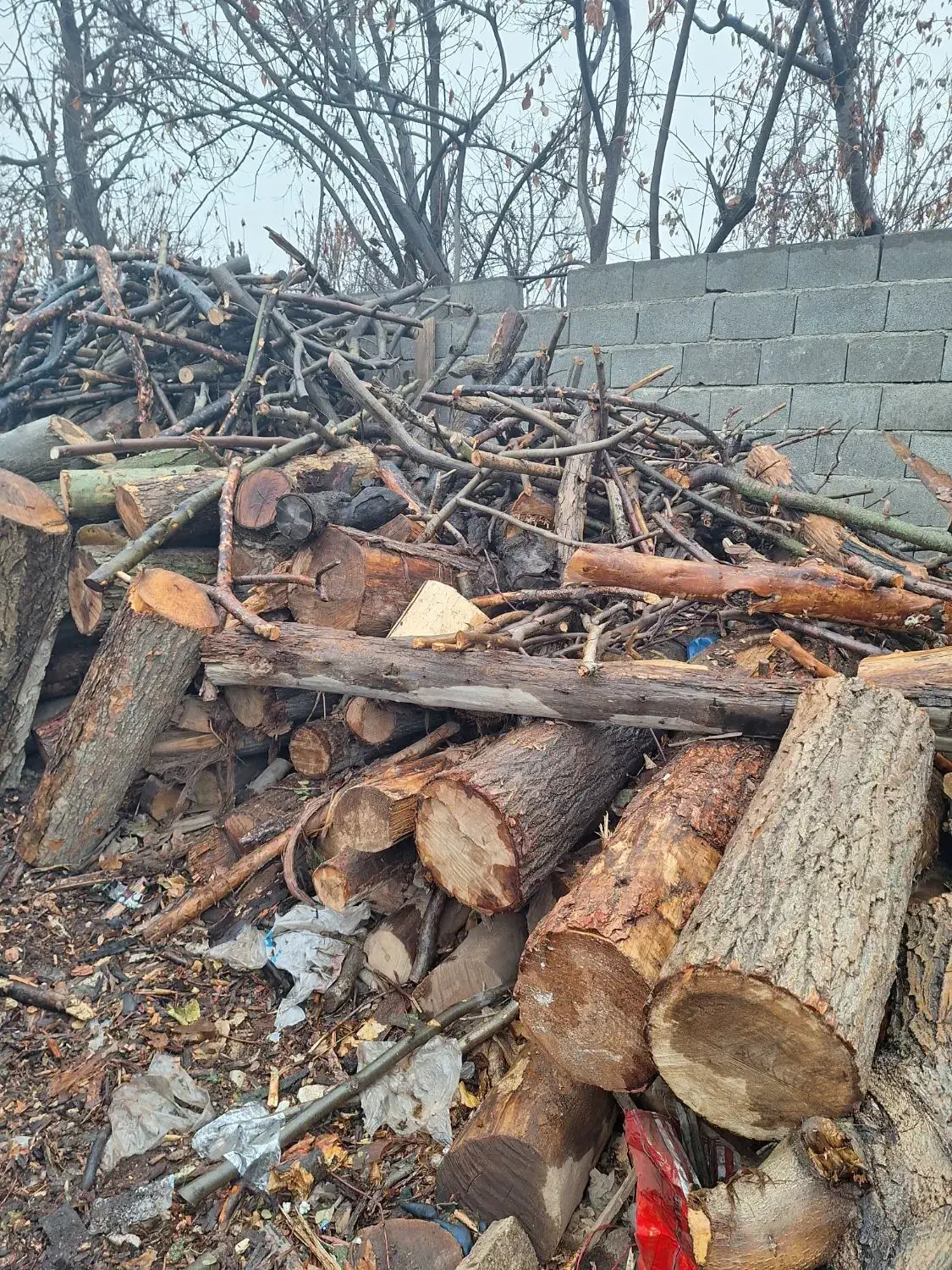 چوبری وخرید انواع چوب|خدمات باغبانی و درختکاری|مشکین‌دشت, |دیوار