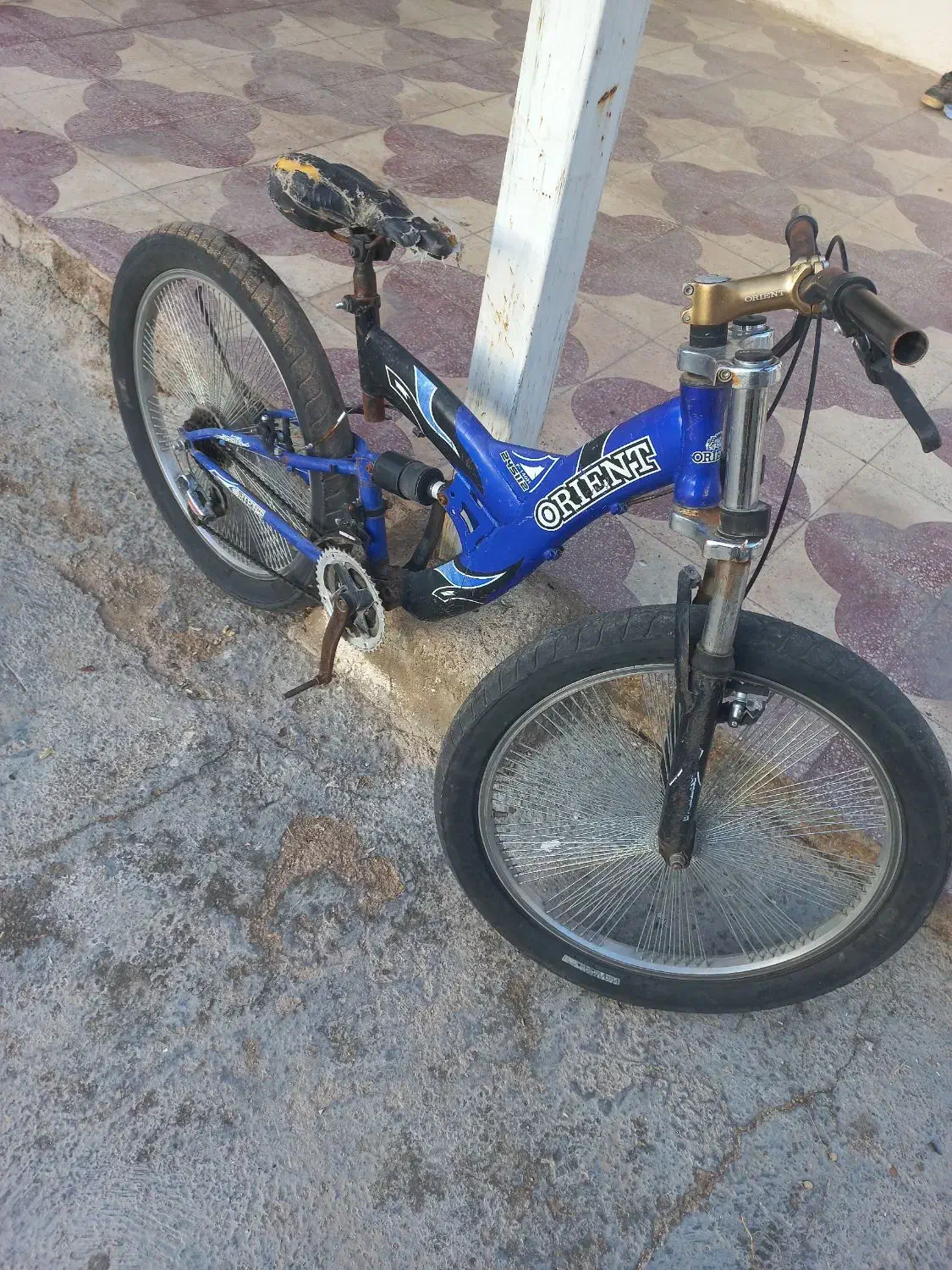 دوچرخه ۲۶|دوچرخه، اسکیت، اسکوتر|شیراز, داریون|دیوار