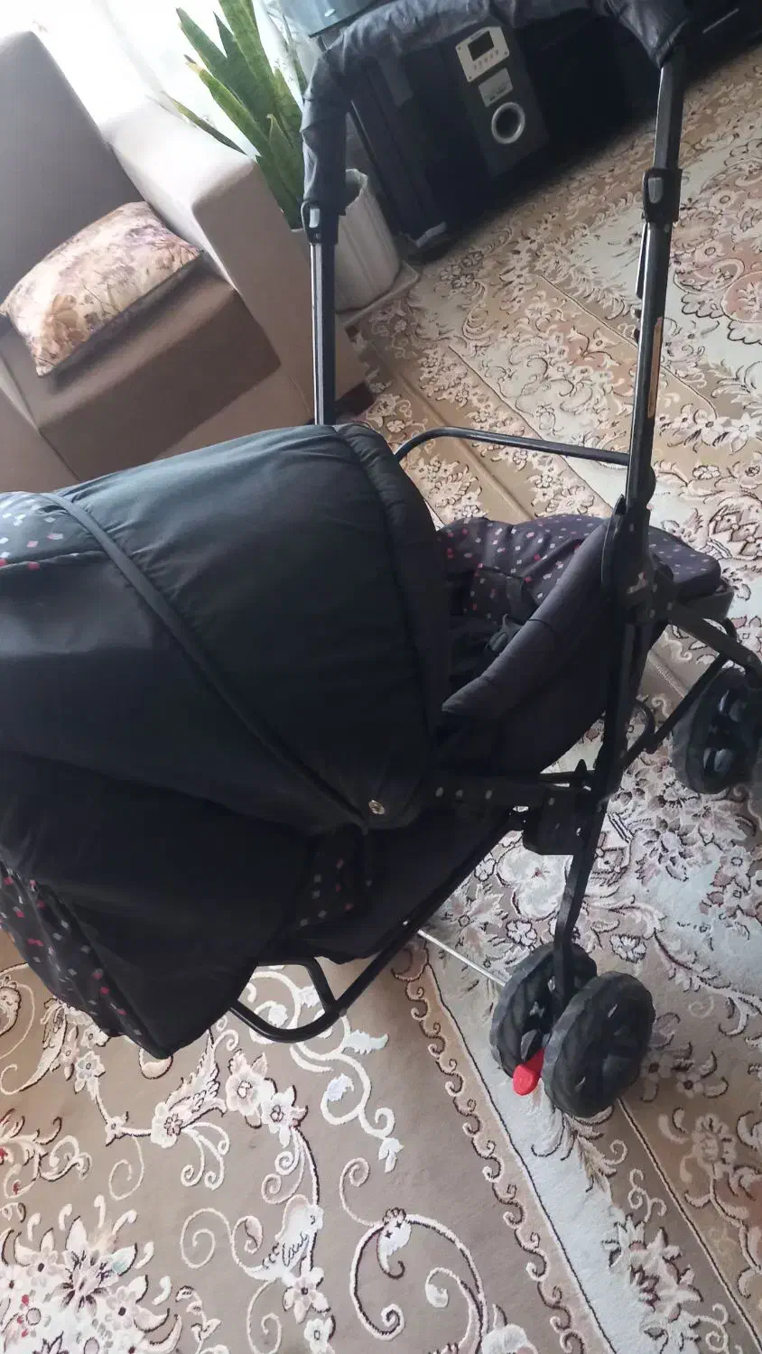 کالسکه|کالسکه و لوازم جانبی|تربتحیدریه, کلاته توکلی|دیوار