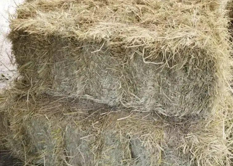 کاه(سراچینا)|حیوانات مزرعه|شفت, |دیوار