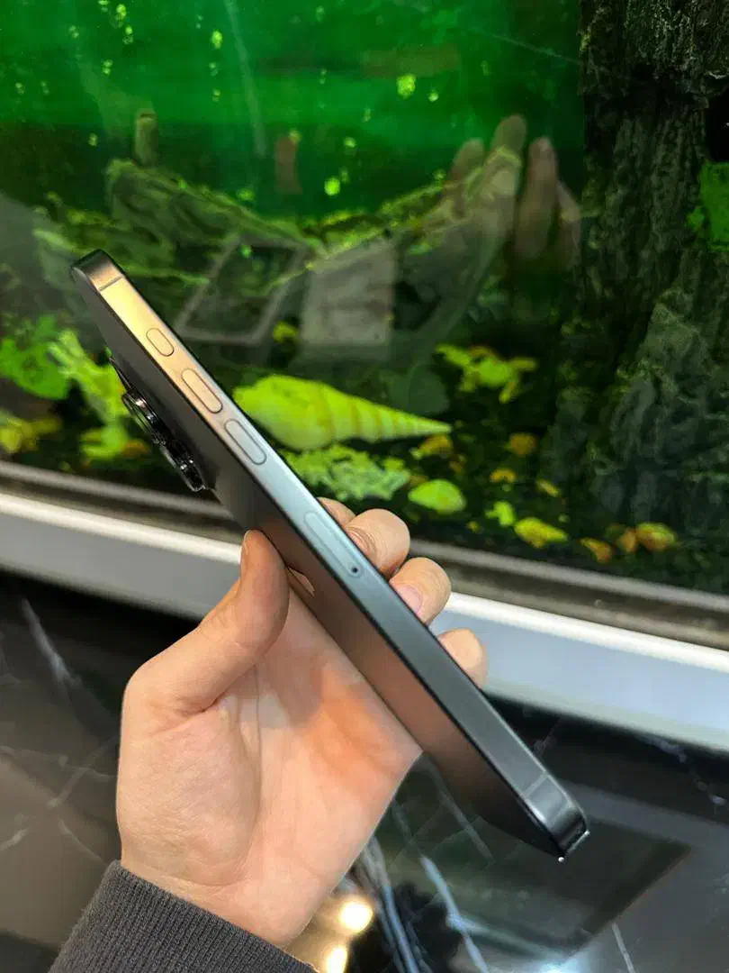 ۱۶ پرومکس ۲۵۶ zaa|موبایل|تهران, امامت|دیوار