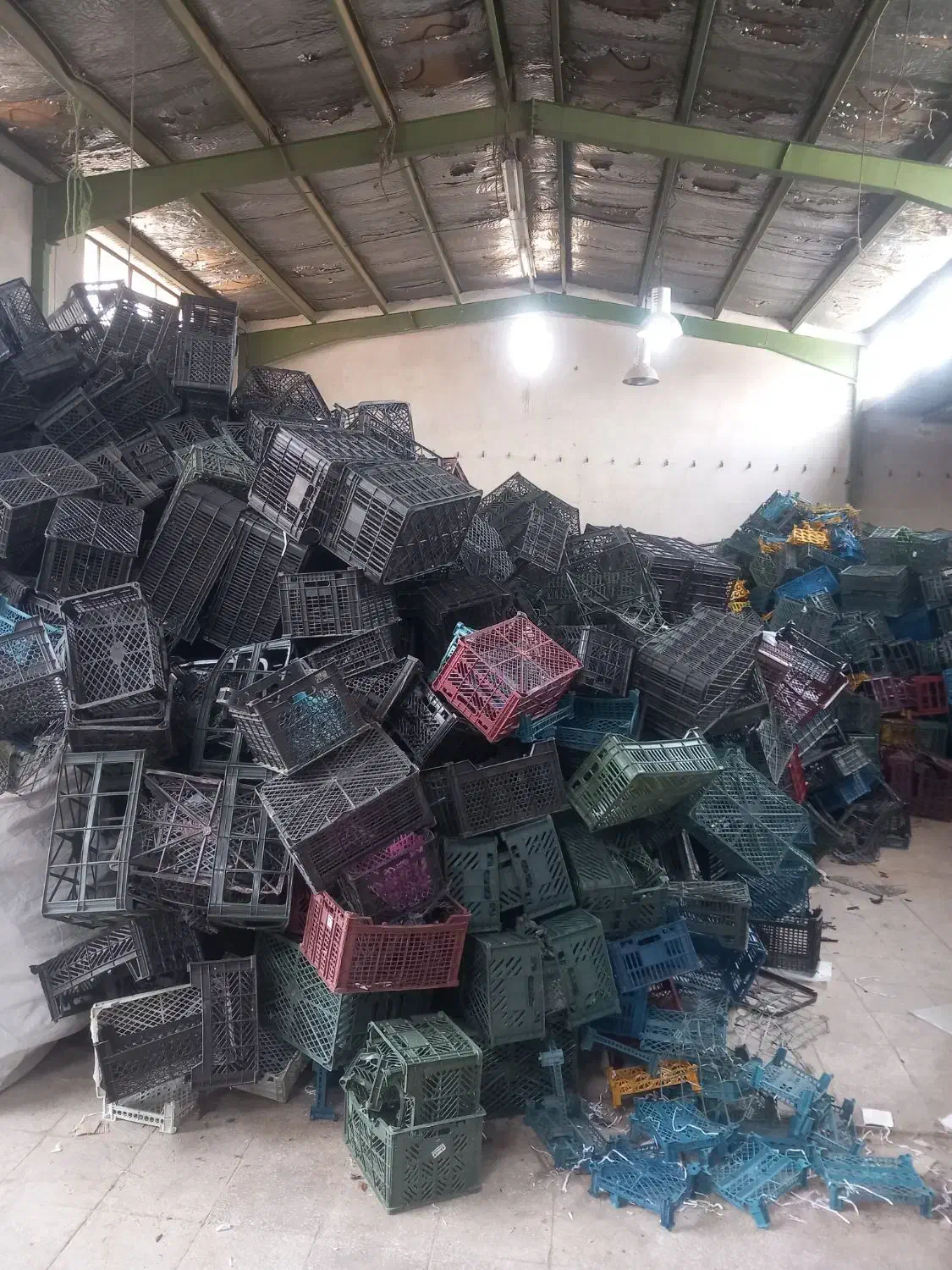 سبد|عمدهفروشی|کاشان, خزاق|دیوار