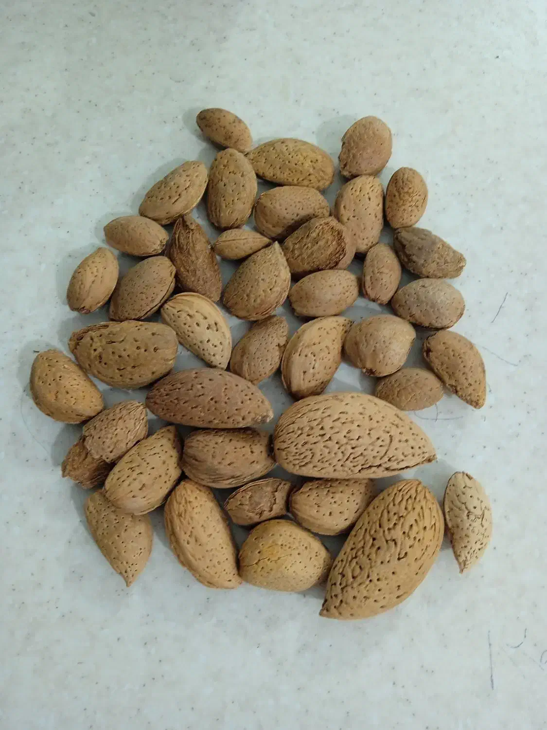 بادام بوانات|خوردنی و آشامیدنی|شیراز, رکنآباد|دیوار