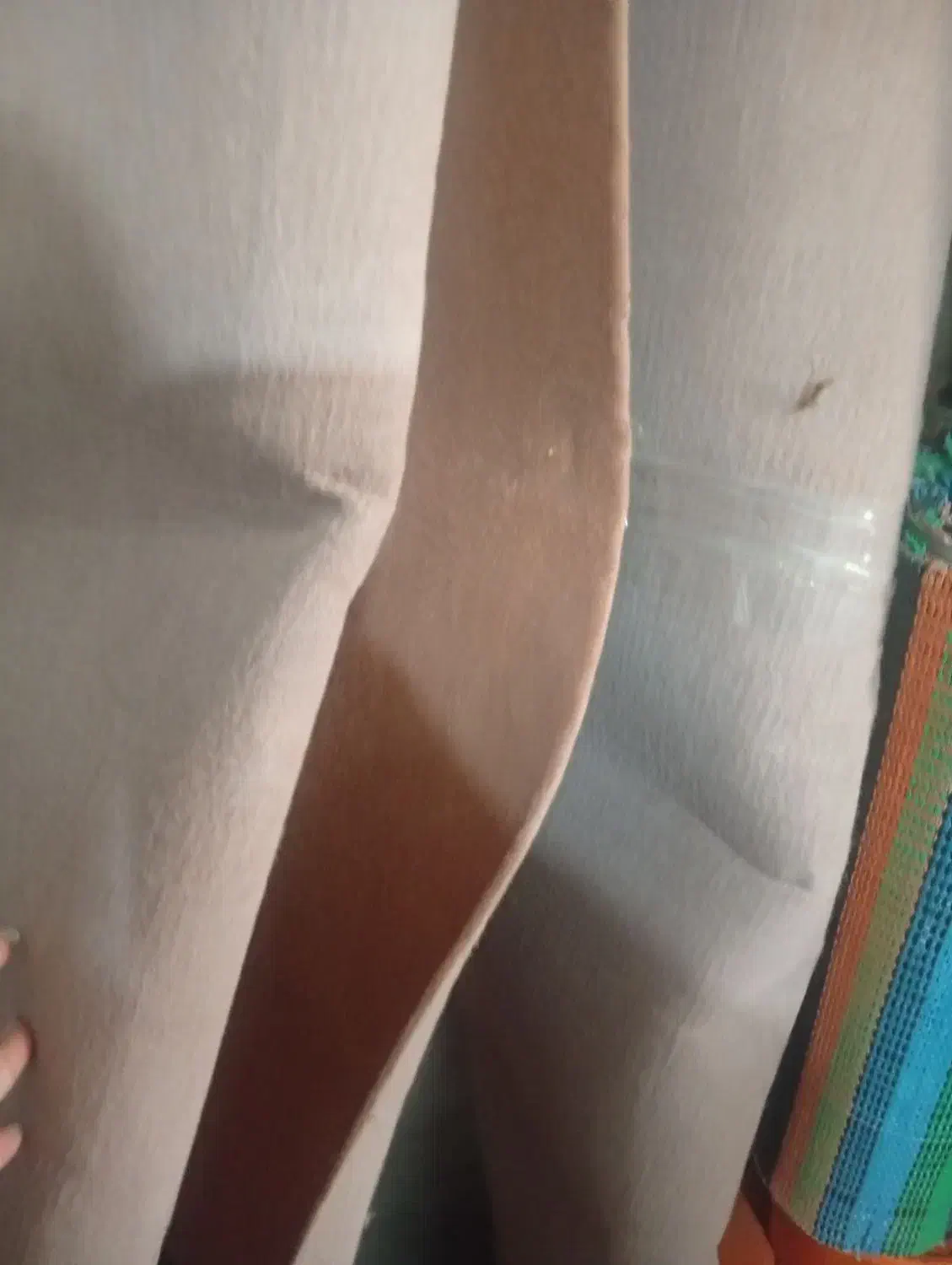 موکت|موکت|بندرعباس, |دیوار