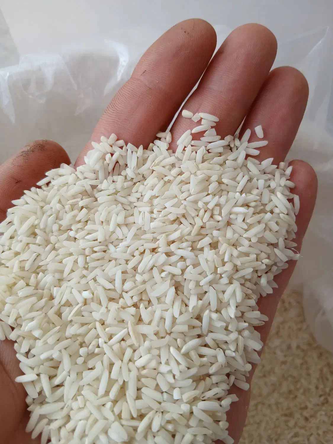 برنج لاشه|خوردنی و آشامیدنی|آستانه اشرفیه, |دیوار