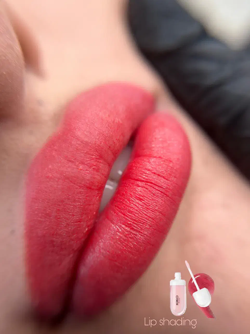 نیازمند مدل جهت شیدینگ لب و تینت لب|خدمات آرایشگری و زیبایی|شیراز, قصرالدشت|دیوار